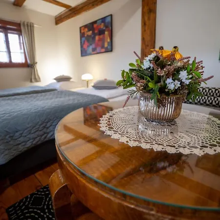 Zagroda Kolodzieja Pensionat Zgorzelec