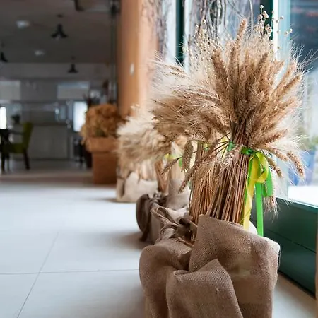 Zagroda Kolodzieja 3*