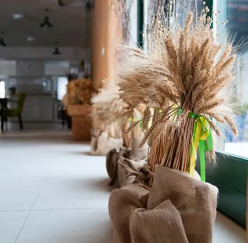 Zagroda Kolodzieja 3*